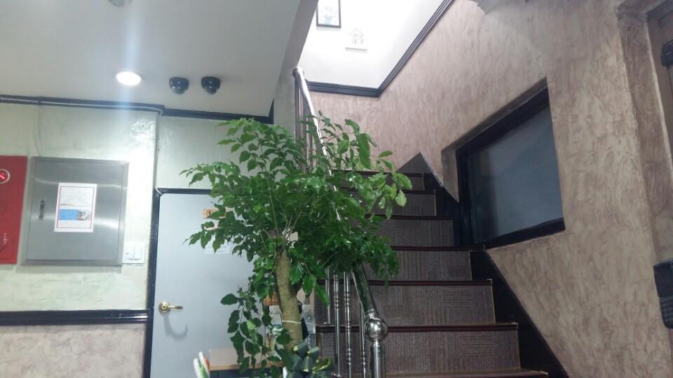 KimStay Seoul Exterior foto